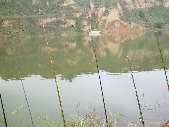 好多人都钓不到鱼,很多人钓不到大鱼