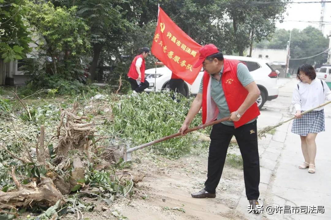 先锋志愿服务队,先锋引领志愿服务活动