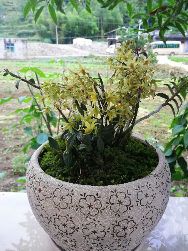 2020年立春是哪一天几点几分,2020年立春时间