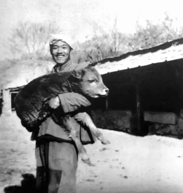 史铁生世界以痛吻我文案,世界以痛吻我史铁生