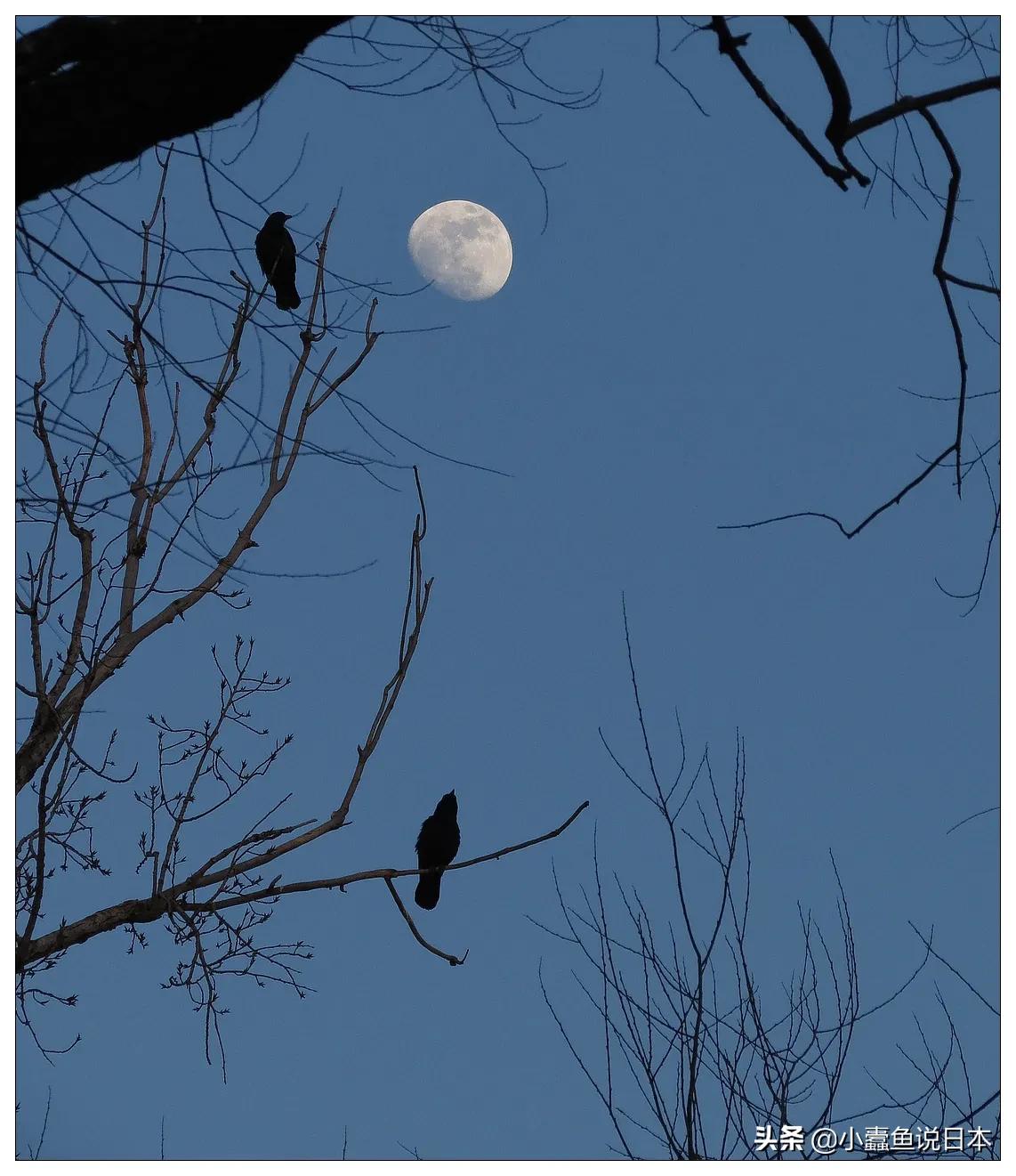 再论：为什么一流书法家们都说田英章楷书是丑书？那还值得学吗？