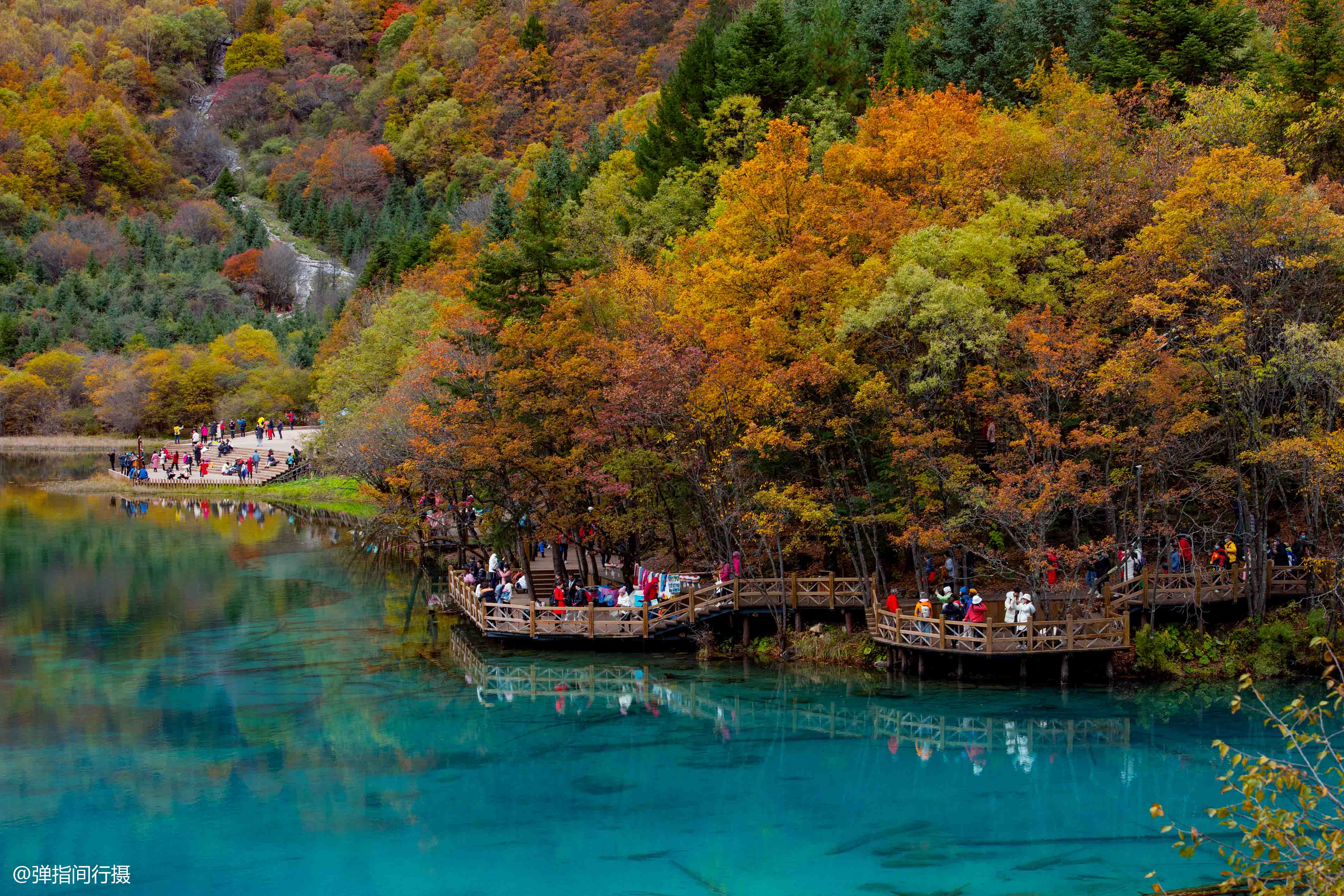 九寨沟最“仙”的景点:秋色宛如彩色梦境,堪称“九寨沟一绝”