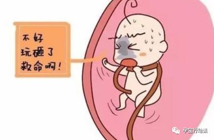 孕期周刊,孕期日记第21周