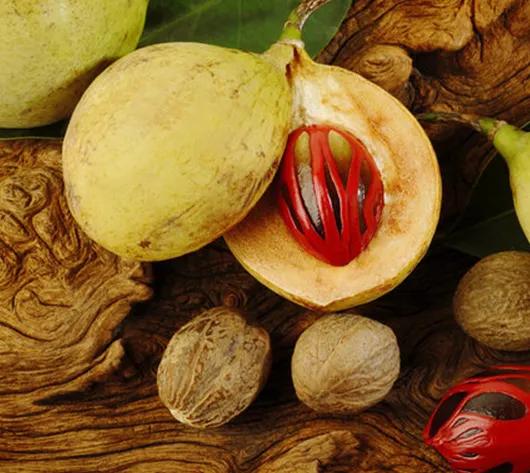 肉豆蔻的功效与作用,肉豆蔻的功能与主治