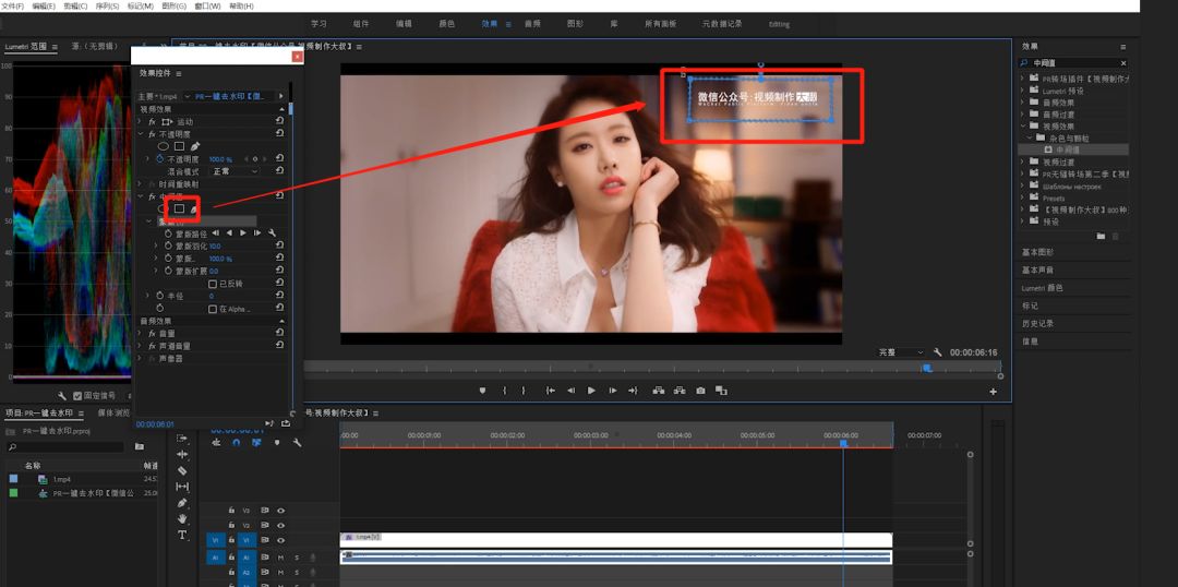 pr去水印最简单的方法,在pr中怎么去水印有几种方法