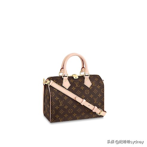 今年新款lv包包是哪一款,买新款lv包包选这几款就对了