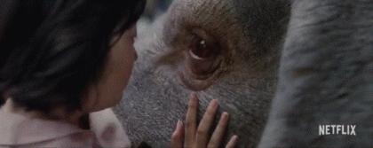 高口碑商业片电影,娱乐性连续剧