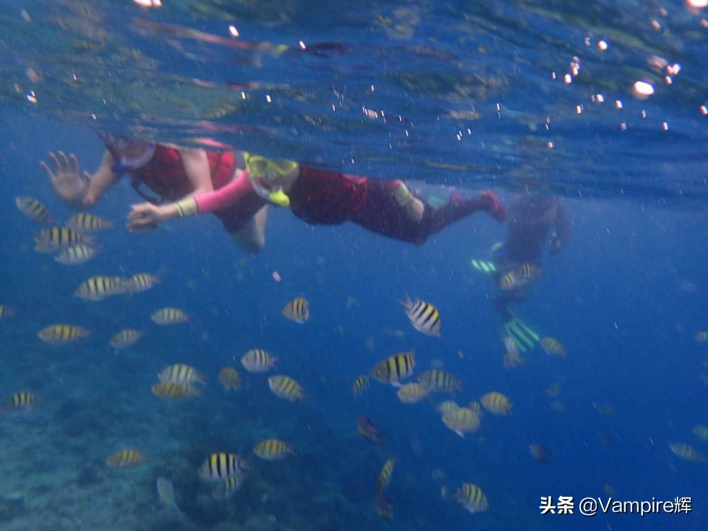 一起云旅游一日游,一起云旅行北极光