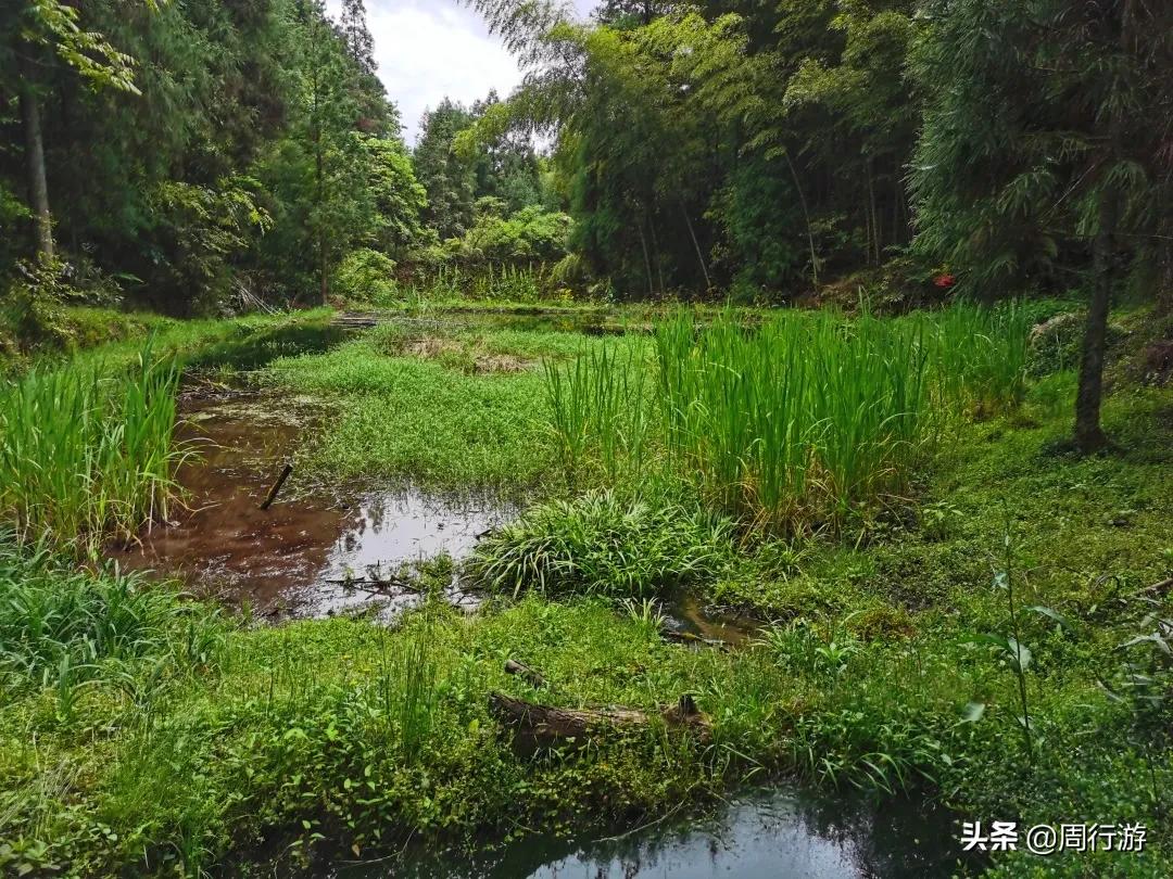 温州文成岭后烂井湖，虽繁华不再，却也有着属于它的传奇故事