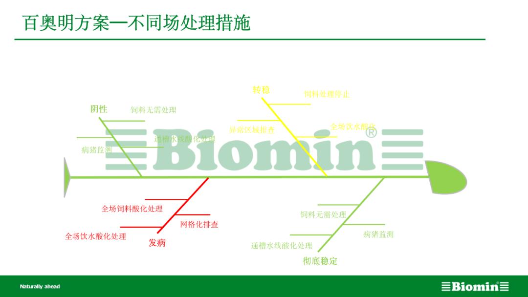 雨季来临，非瘟变异株拔牙困难重重！饲料涨猪价跌，养户如何*局破**？