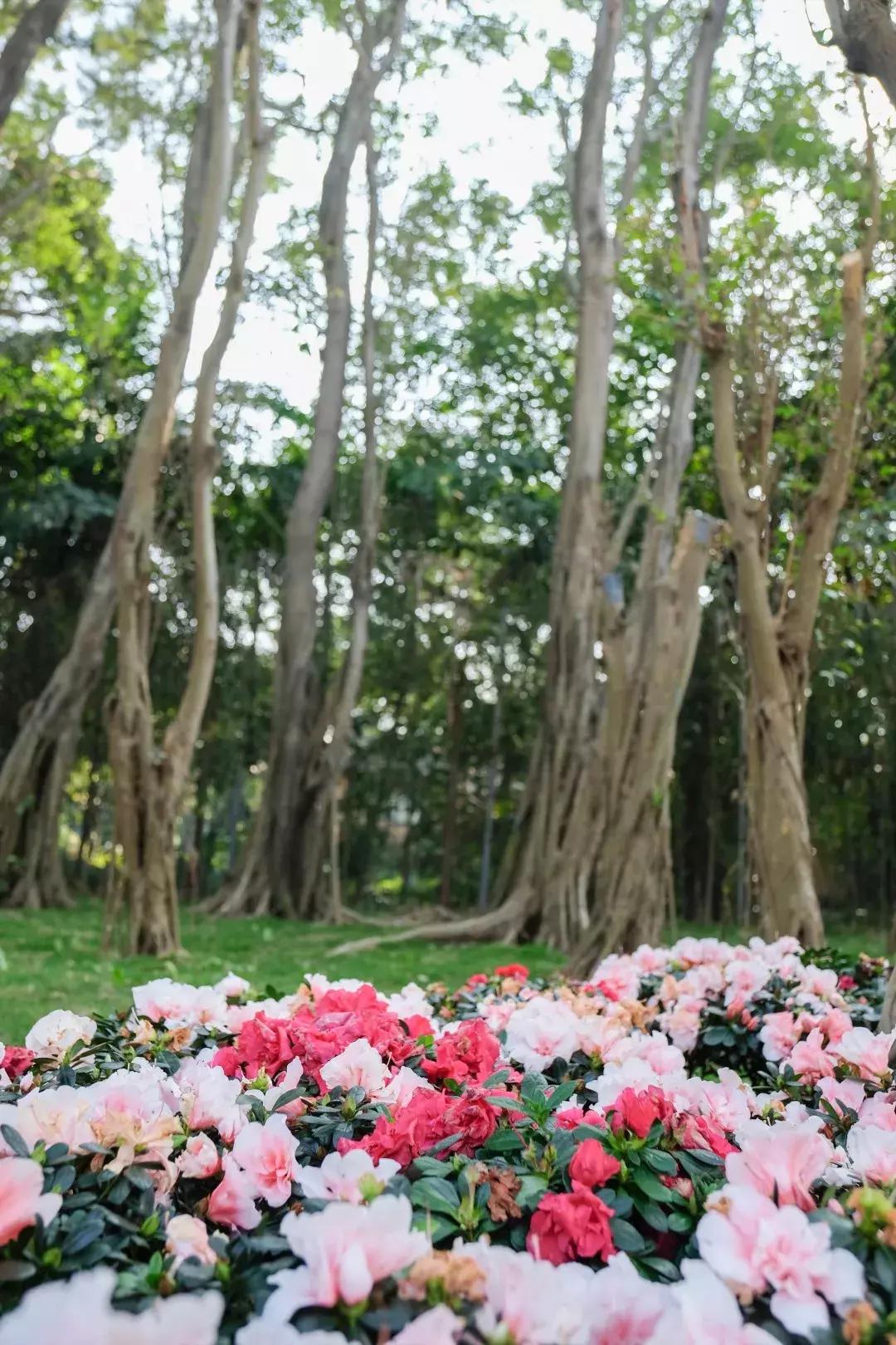 深圳世界之窗充满回忆,深圳世界之窗景点大全