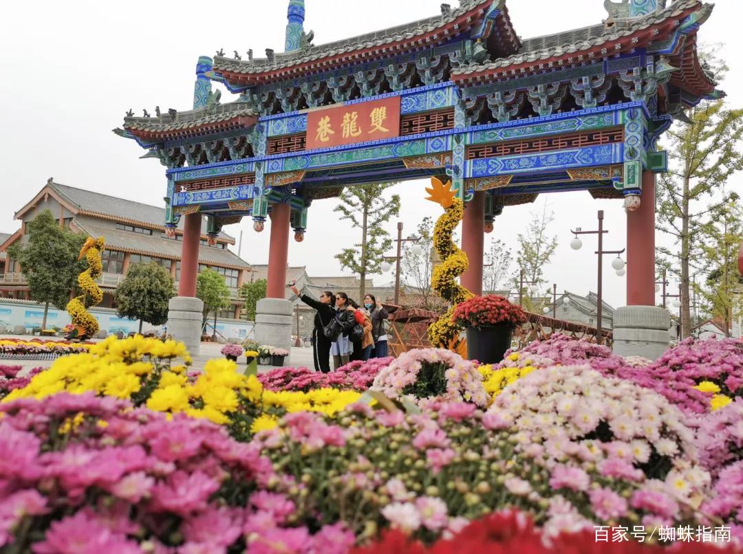 重阳节赏菊花的介绍,赏菊打卡好去处