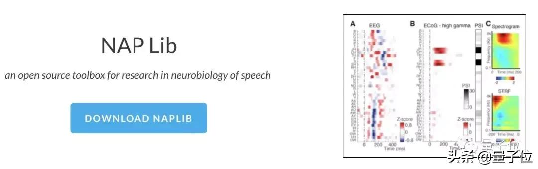 最强读心术！脑波直接转语音，你的秘密已无处藏身｜Nature子刊