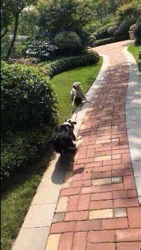 喜欢很久的小哥哥,喜欢了很久的小哥哥