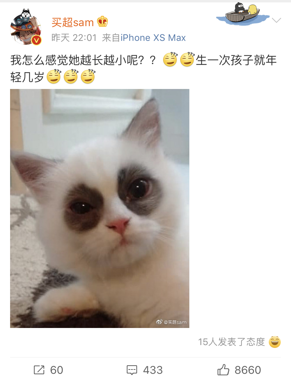 张嘉倪顺嫔黑色古装,张嘉倪顺嫔异域服装的视频