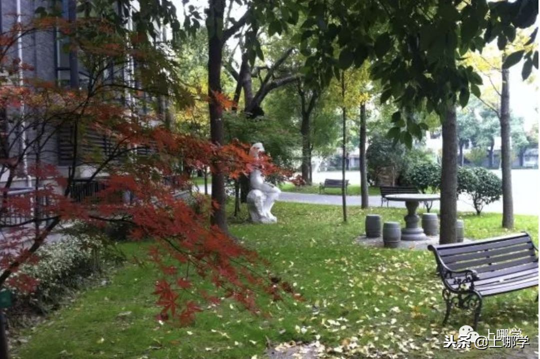 上海最美公办小学,上海环境最好的小学