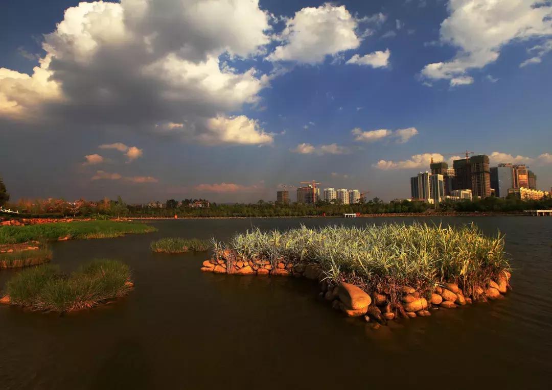 未来昆明发展潜力最大城市,昆明和青岛哪个城市发展潜力大