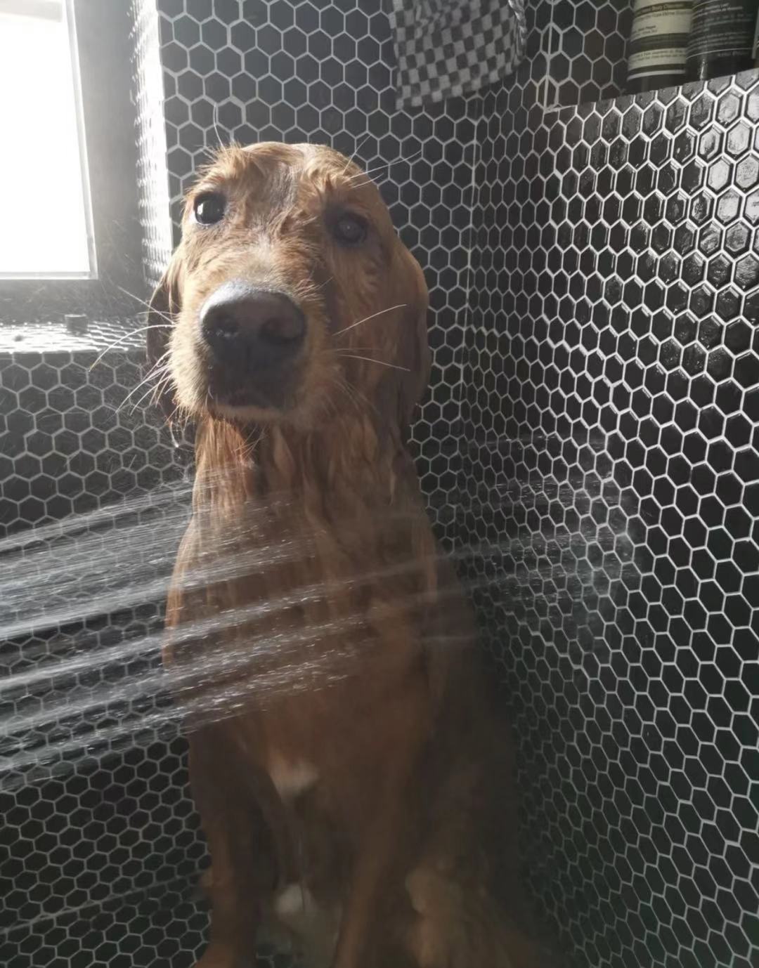 80后女大学生装修设计,女士创意卫生间