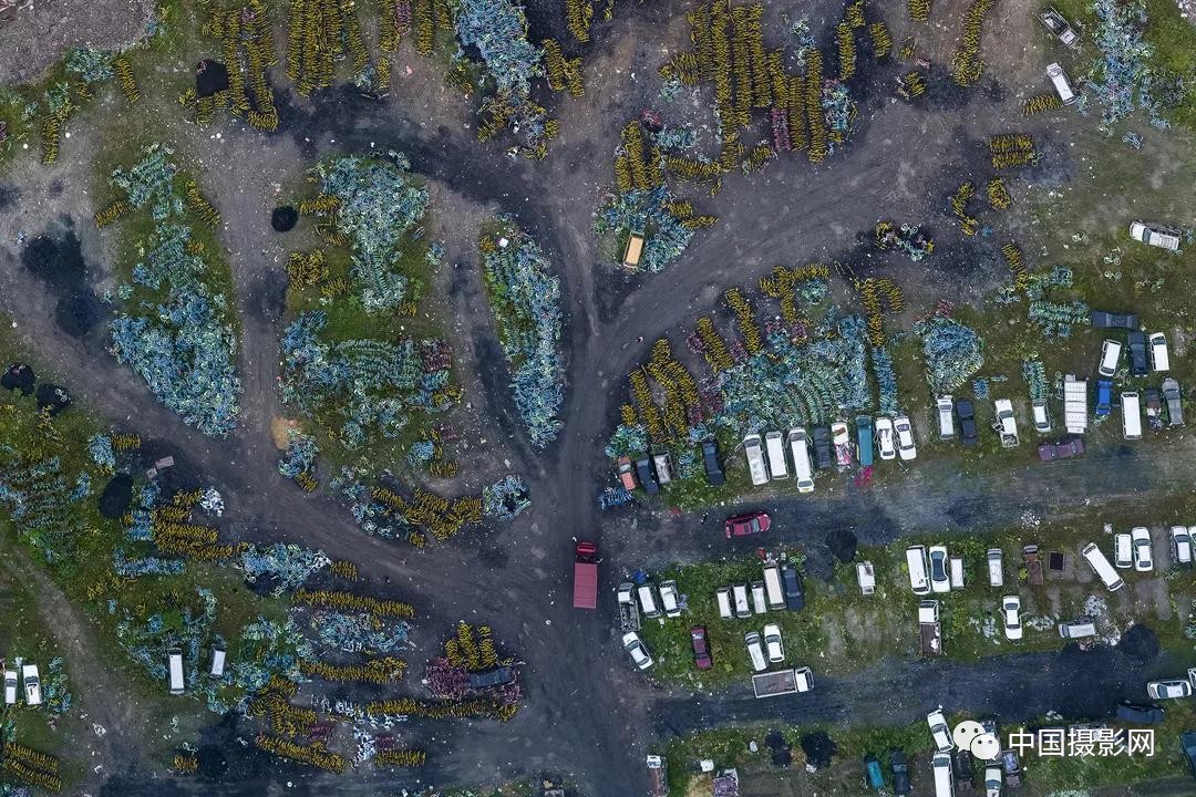 第七届全国摄影十杰获奖者,中国摄影年度人物排名