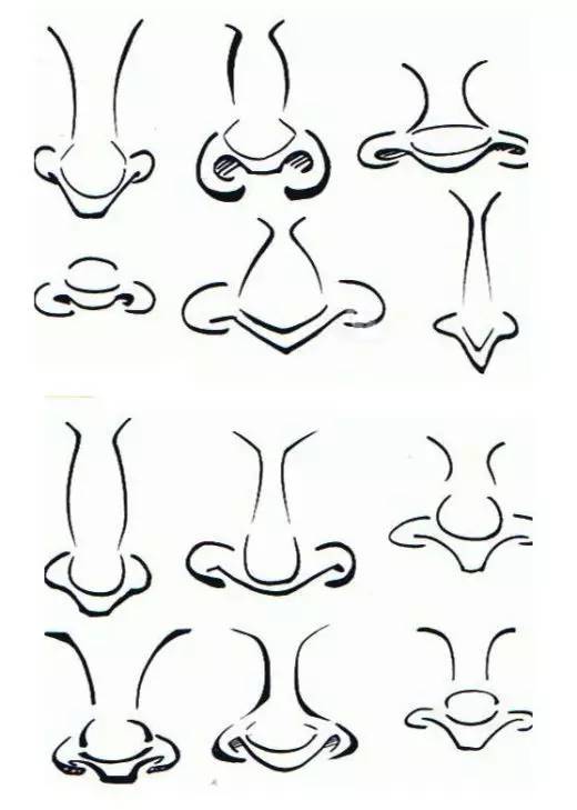 画人物要画鼻子吗,学画漫画人物的鼻子