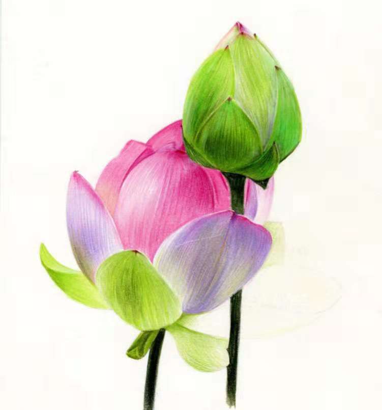 鏃╁畨鍙ら鎯呰瘽,鍙ら鎯呰瘽澶у叏