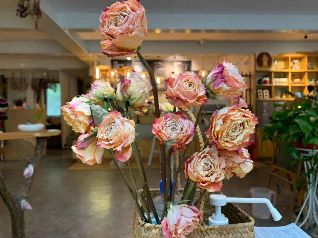 从17岁到35岁,从17岁到如今的47岁