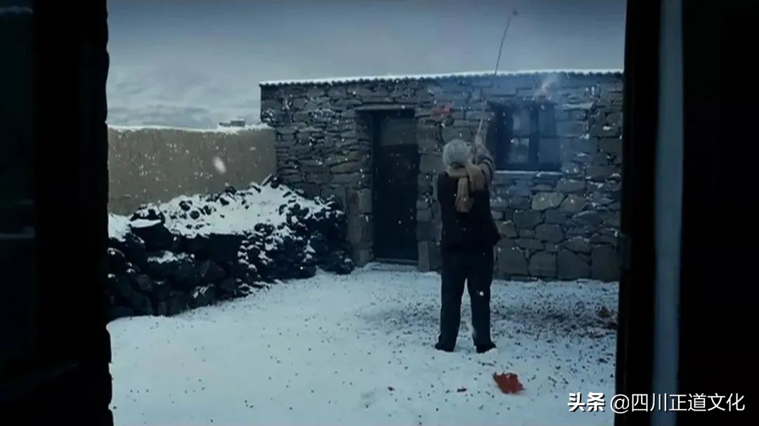 值得看的电影春天,春天的电影名字