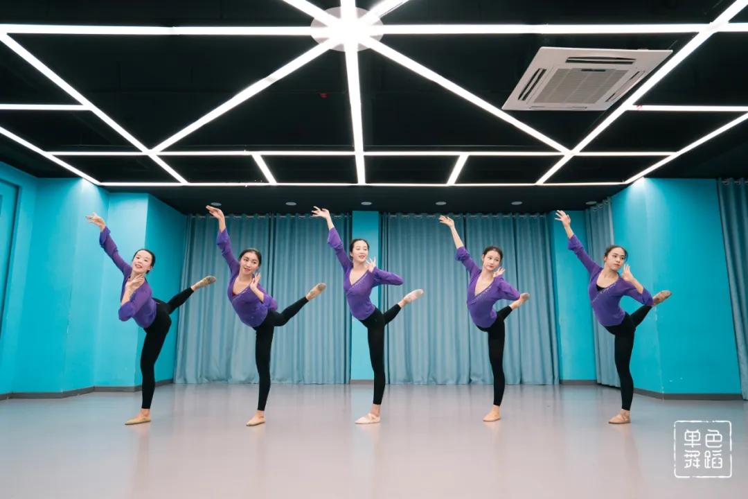 中国舞三级舞蹈基本功练习,中国舞零基础基本功训练在家练习