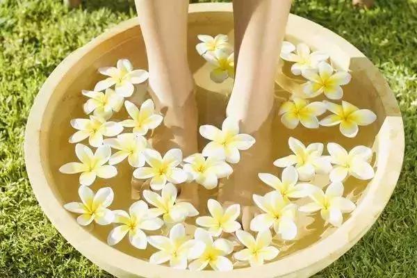 寒露节气养生小知识您必须知道,医生寒露节气养生