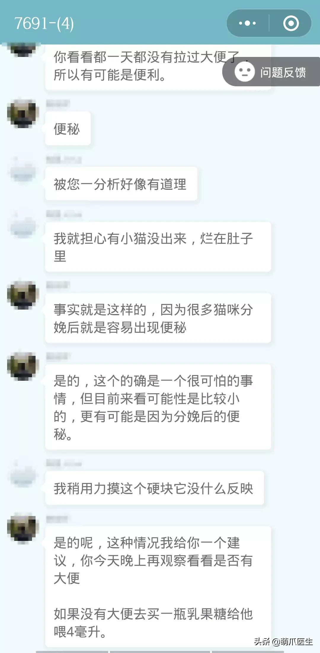 足不出户就能在线治猫病,24小时猫病在线咨询