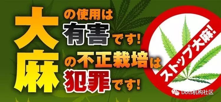 樱之*麻大**:日本*麻大**与CBD完全指南