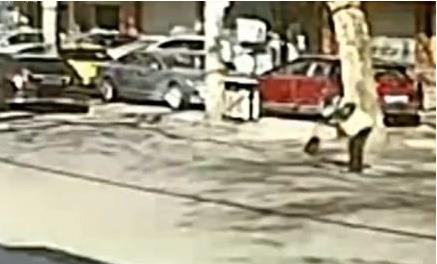 【8点见】23具英雄遗体完成DNA检测木里森林火灾明火已扑灭