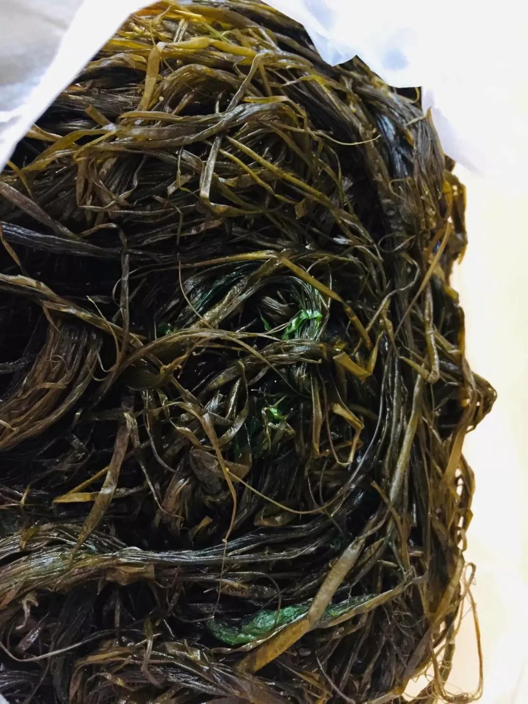 海苔和紫菜是一种植物吗,海苔紫菜海带裙带菜什么区别