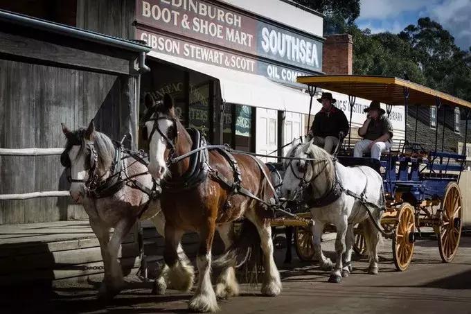 墨尔本最美海滨公路大洋路自由行,墨尔本五月精彩活动指南