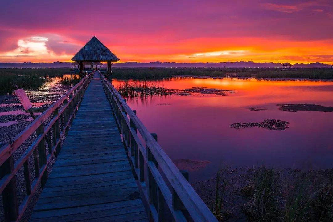 2020年各国签证新变化建议收藏,2019最全签证政策大盘点