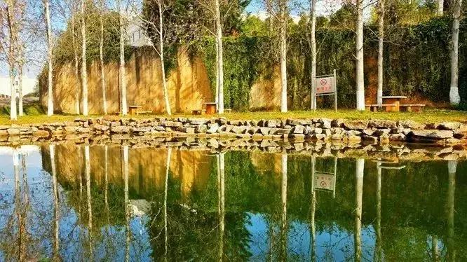 玉溪师范学院详细介绍,玉溪师范学院新消息