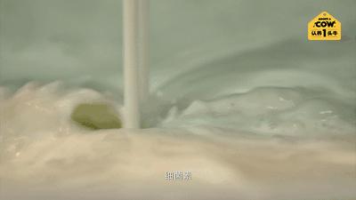 认养一头牛超值购,特价认养一头牛