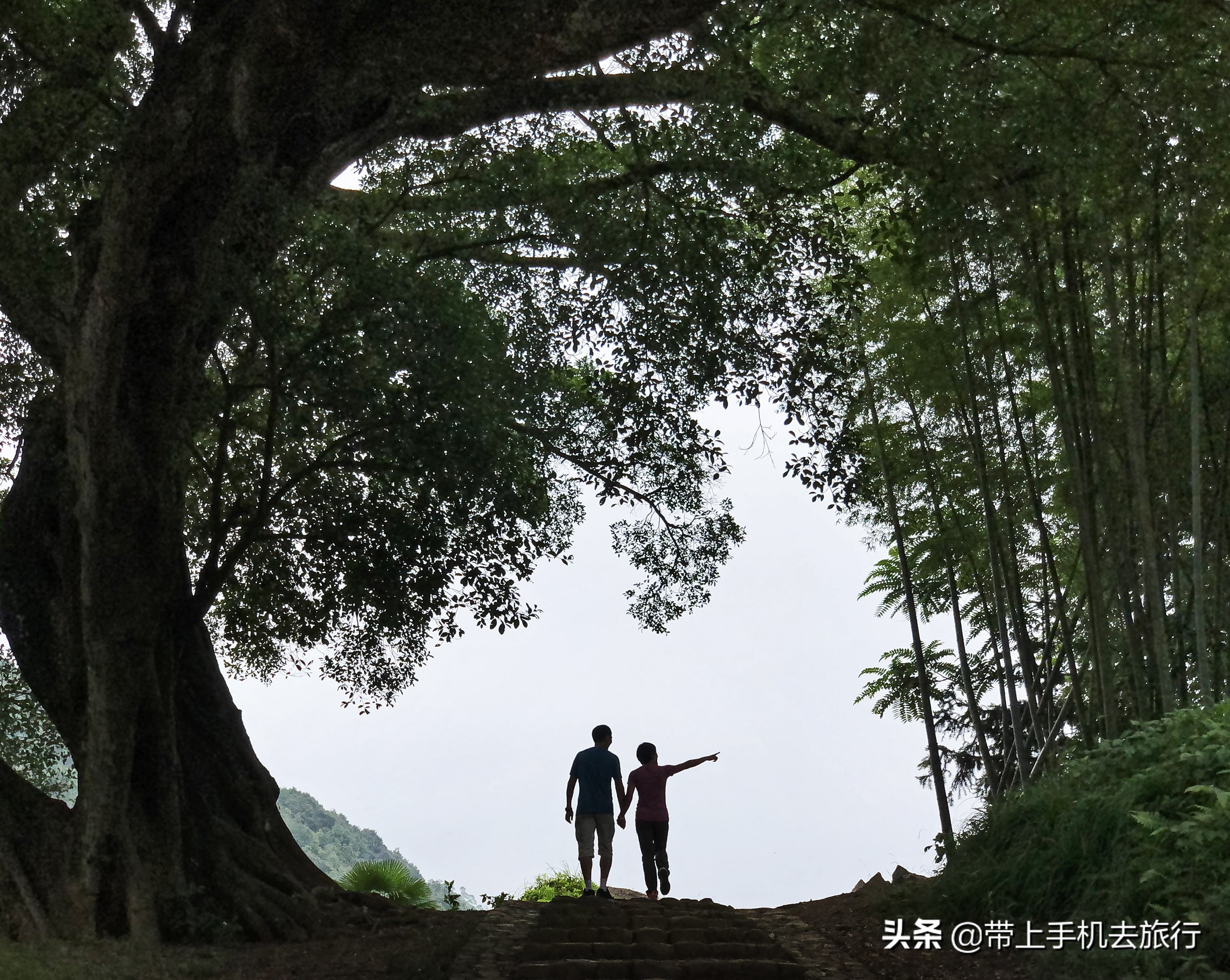 手机怎么拍出好看的画质,手机如何拍摄手机画面好看