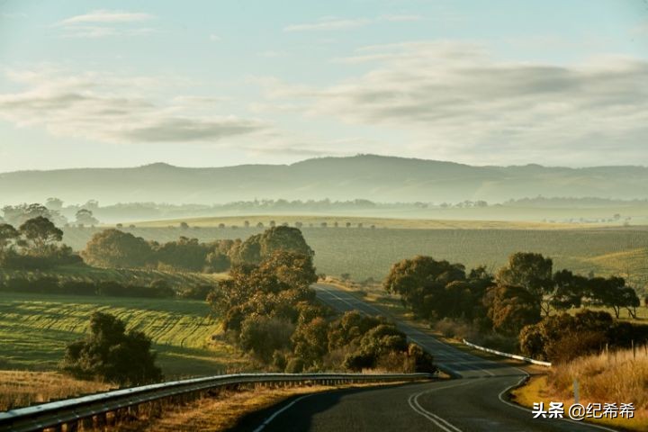 澳洲奔富红酒407价格,除了奔富还可以买什么红酒