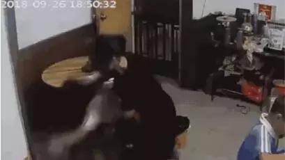 8-10℃降温+大风雨雪来袭；“抢孩子”视频网上热传！郑州民警辟谣