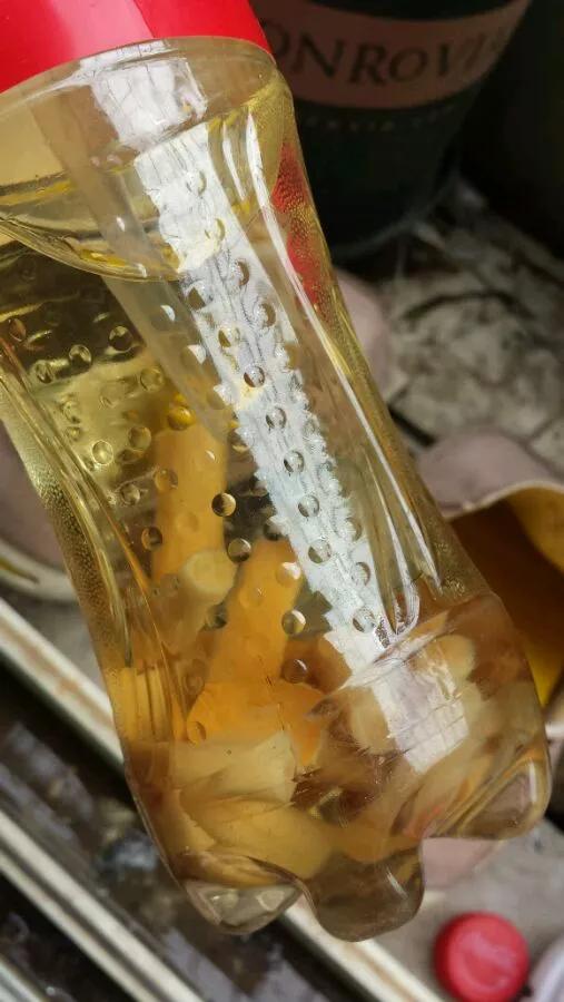 水养花怎么杀虫最快,三角梅生虫自制杀虫水