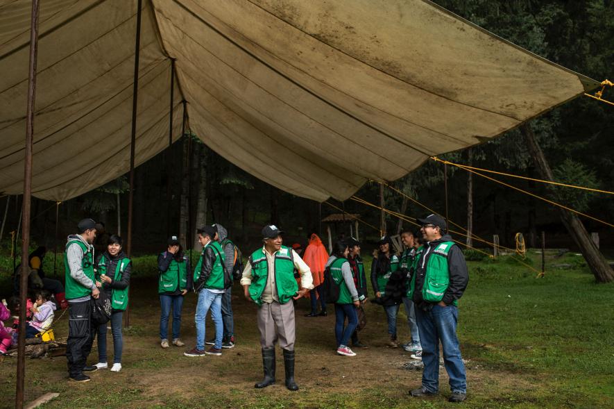 穿过玉米农田、冷杉森林，闯入墨西哥萤火虫梦幻小镇