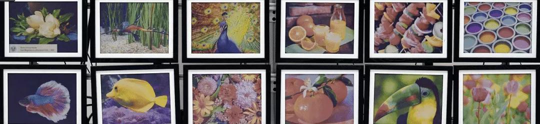 kindle电子书变废为宝,kindlefire变废为宝