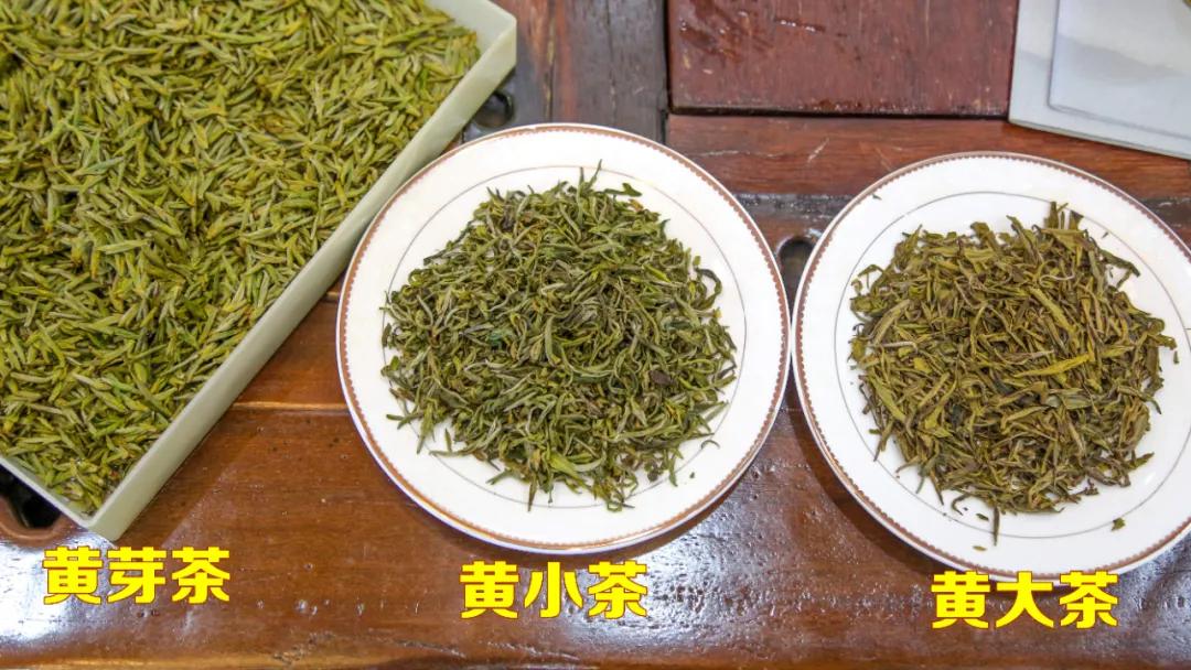 平阳黄茶滋味,平阳黄茶推荐
