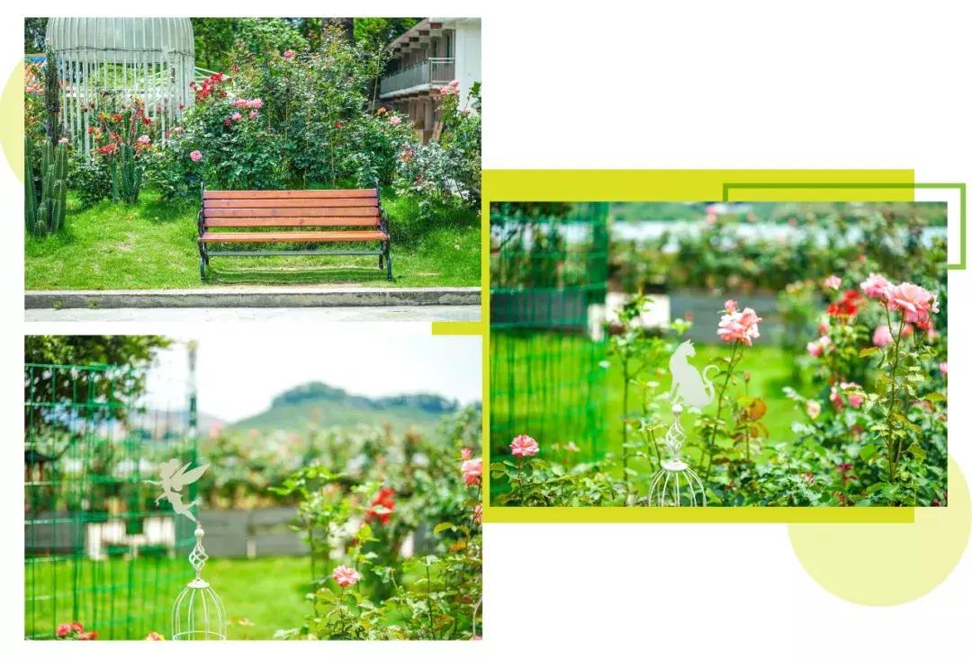 深圳「废弃染布厂」变废为宝，化身“湖畔花园”美若世外桃源！