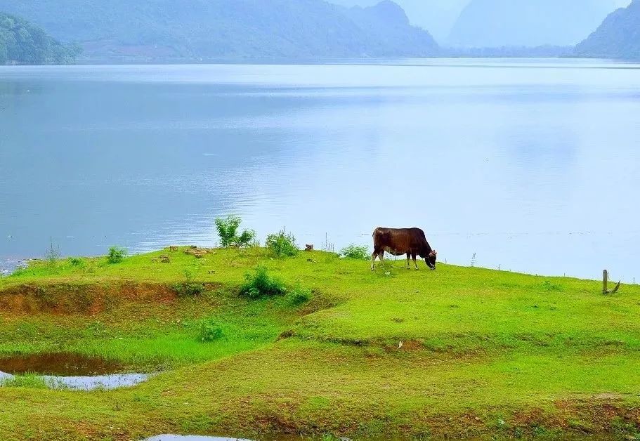 所有养生都是徒劳看完就明白了,不停止内耗所有的养生都是徒劳的