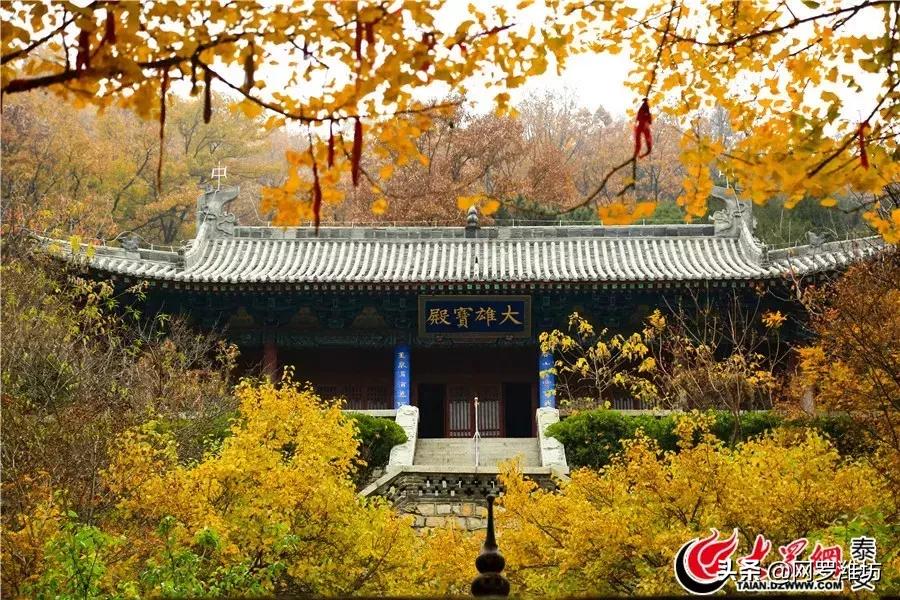 泰山风景区门票优惠到什么时候,泰山景区门票优惠政策介绍