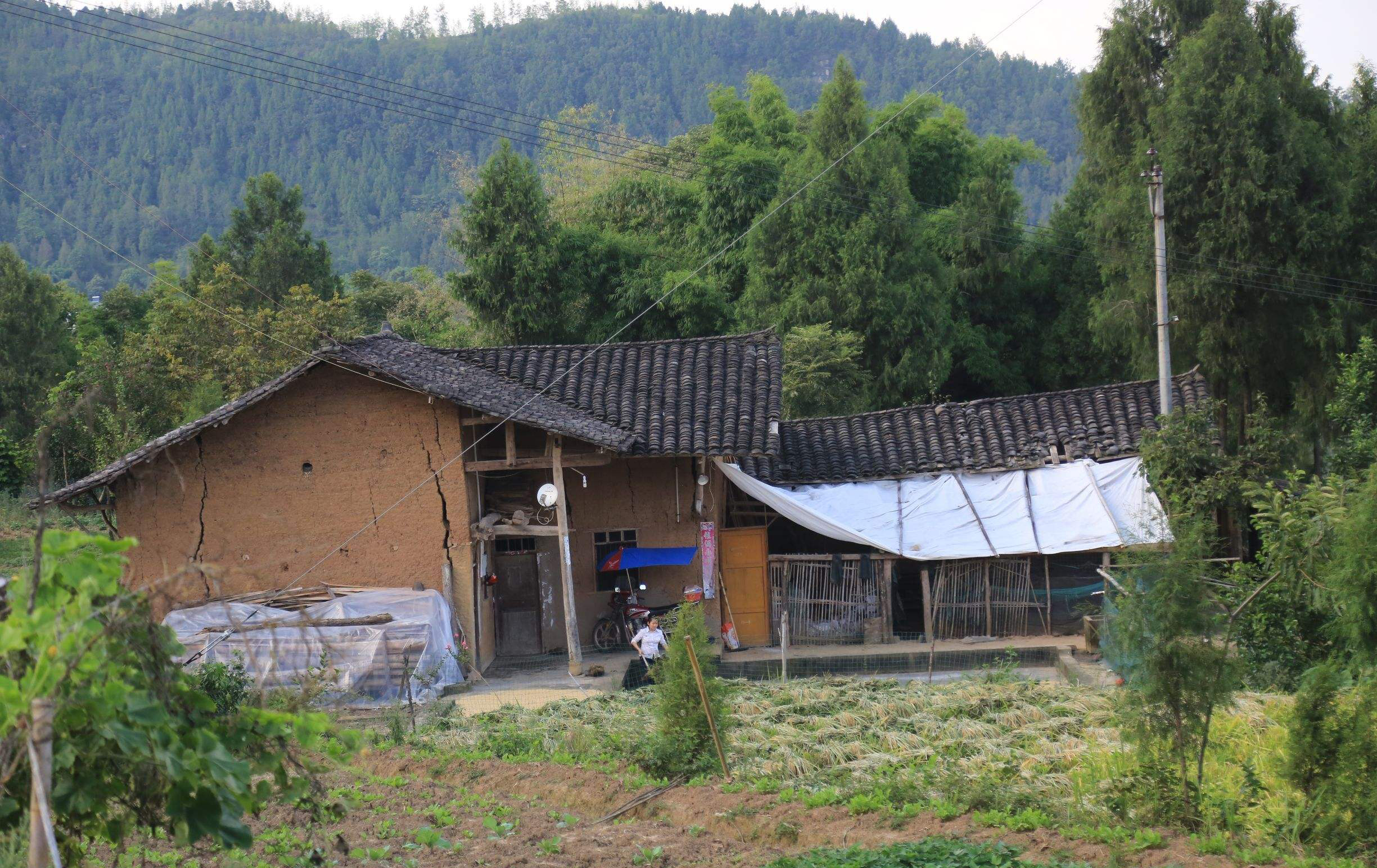 在建房申请宅基地不批会被强拆吗,翻建宅基地未经审批会被拆除吗