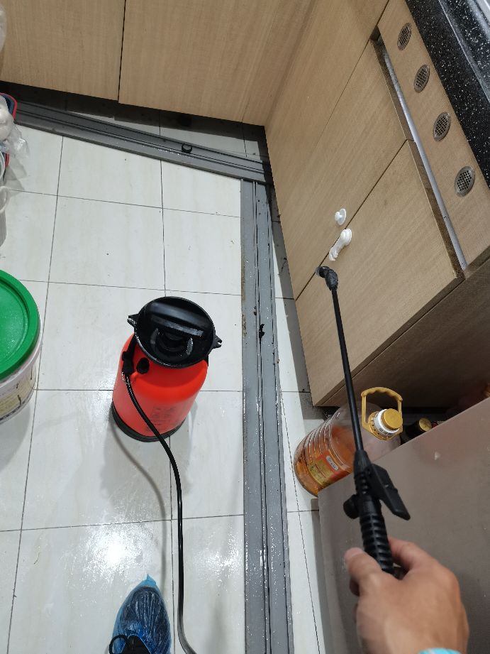 深圳福田灭虫除蟑螂机构推荐,深圳专业上门除虫灭鼠除蟑螂