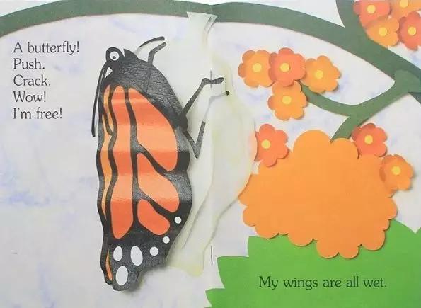 来聊聊总有一天要读的Non-fiction，怎么读，读什么...